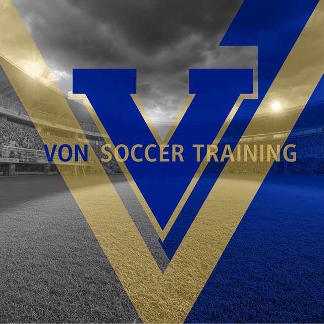 VST Free Camp logo
